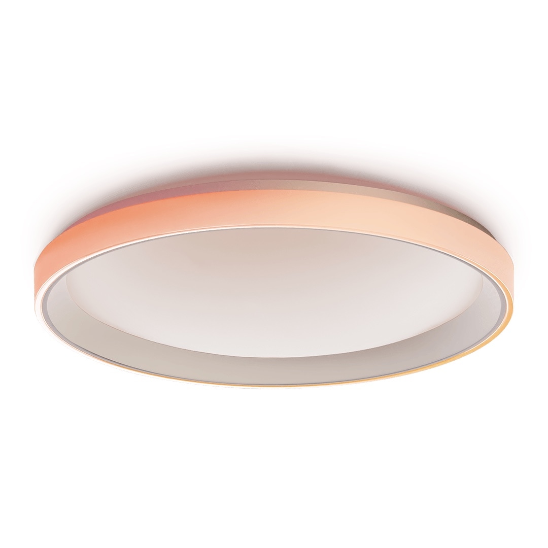 CL-L02D - Ceiling Light T1M view 2